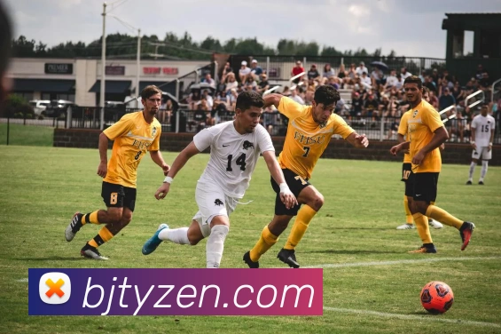 八戒体育服务体系